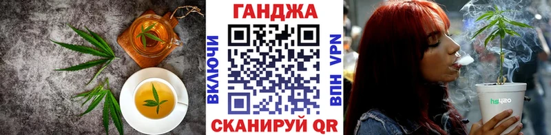 дарнет шоп  Новозыбков  Canna-Cookies марихуана 