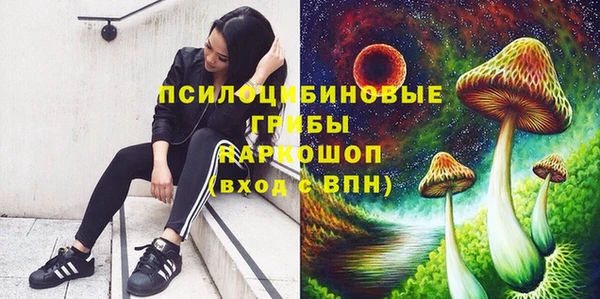 MDMA Богданович