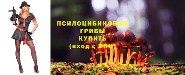МДМА Богородицк